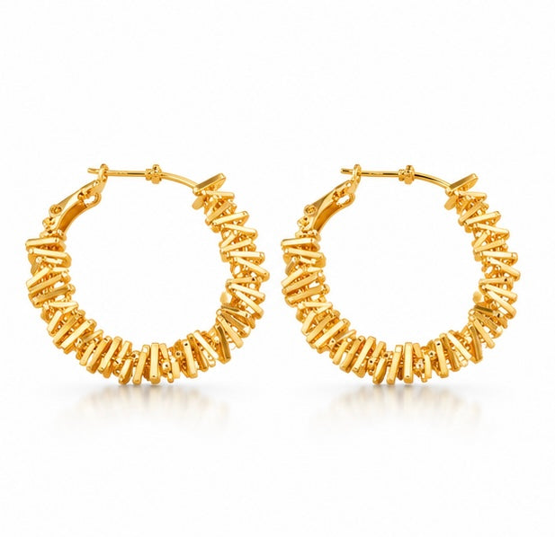 Bling Örhängen